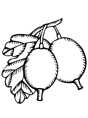 Two Gooseberries Coloring Page